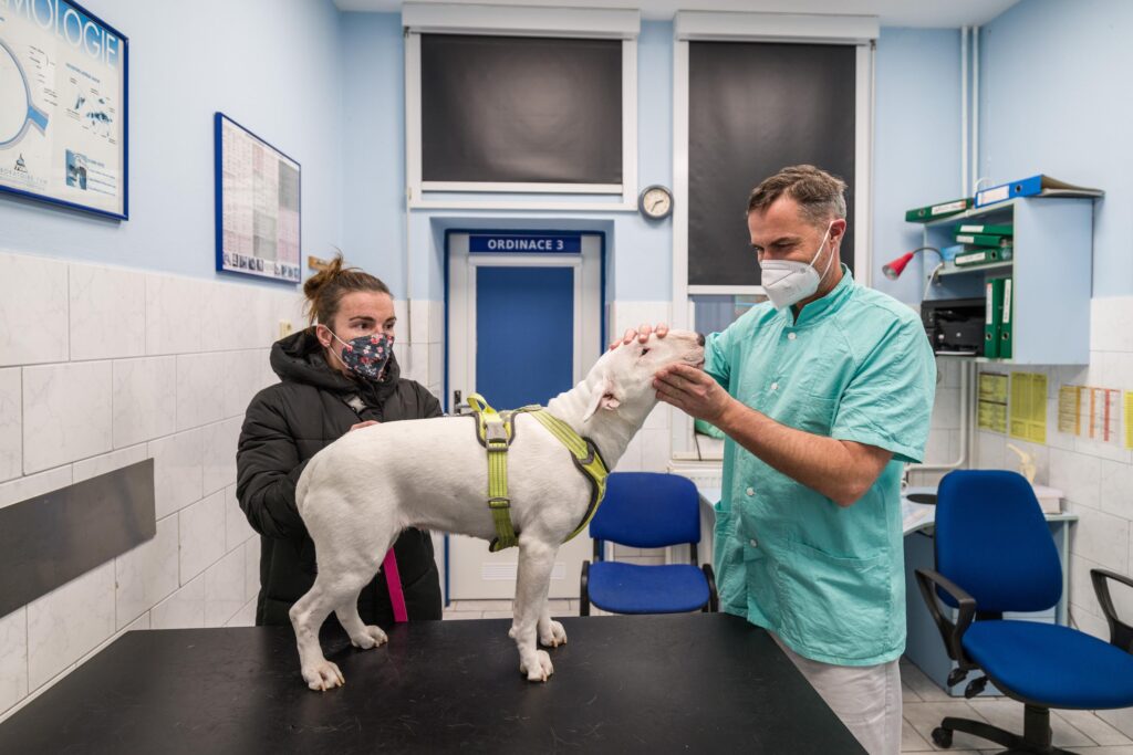 interni-medicina-hlavni-1024x683